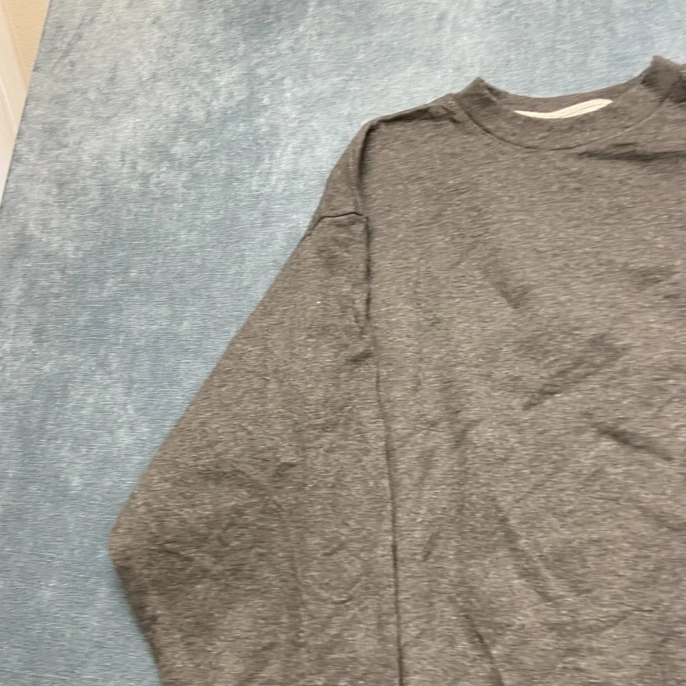 Vintage Champion Eco Authentic Sweatshirt Mens Large Gray Long Sleeve Crew Neck